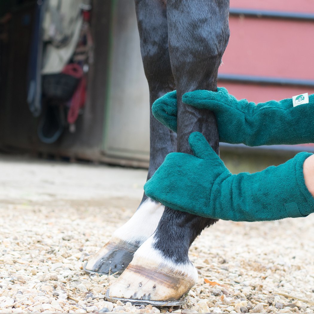 Cross-border dog cleaning gloves Pet dog horse foot cleaning care dry gloves Pet supplies wholesale