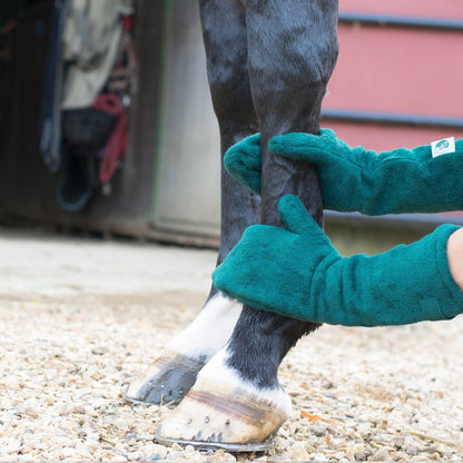Cross-border dog cleaning gloves Pet dog horse foot cleaning care dry gloves Pet supplies wholesale