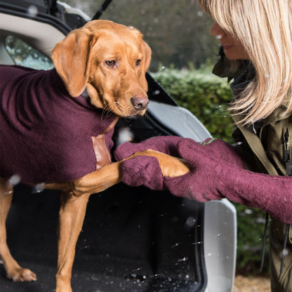 Cross-border dog cleaning gloves Pet dog horse foot cleaning care dry gloves Pet supplies wholesale